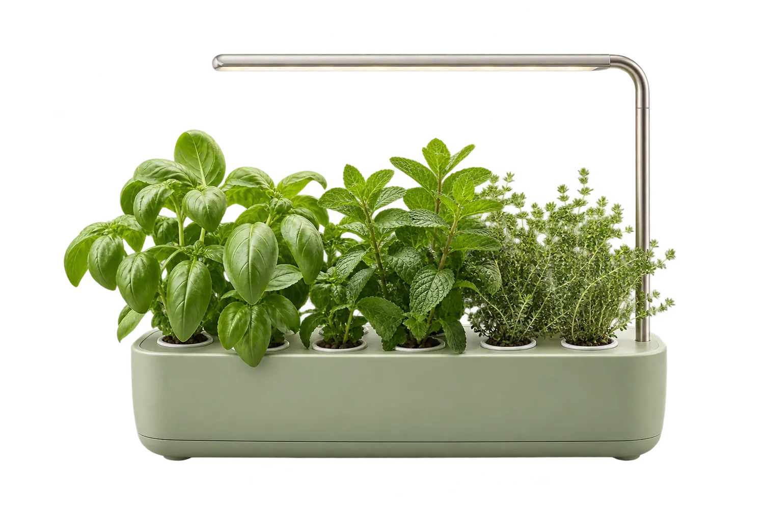 Huerta Ferna: maceta verde salvia con seis pods de hierbas y un brazo de luz LED